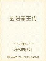 信长霸王传