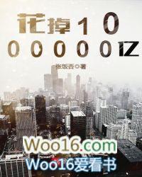花掉1000000亿起点中文网