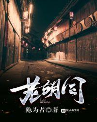 老胡同拼音