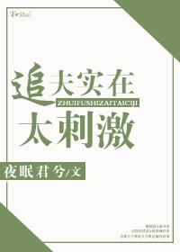 追夫36