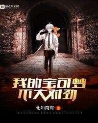 我的宝可梦不一般