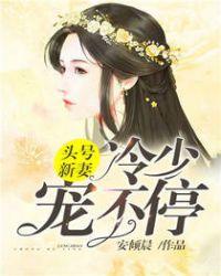 头号新宠最佳新妻送上门