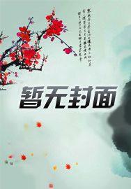海贼王之超人系船长