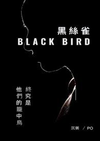 丝雀黑喉鸟叫声