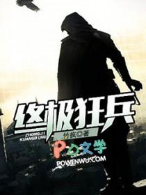 终极兵王叶天明